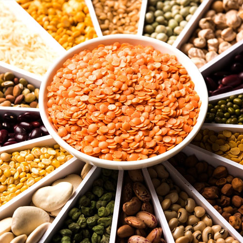 PULSES 
